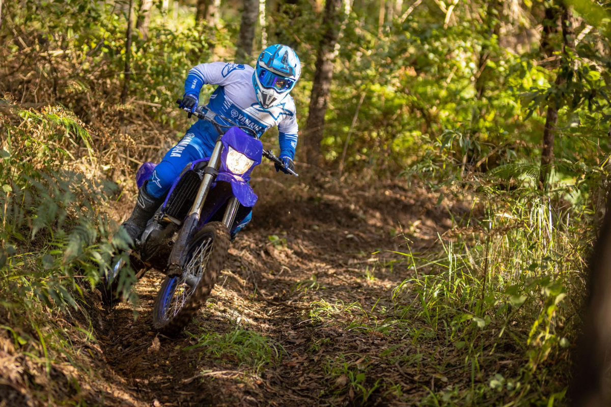Yamaha Rider 250